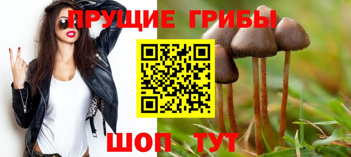 Псилоцибиновые грибы мухоморы Северск